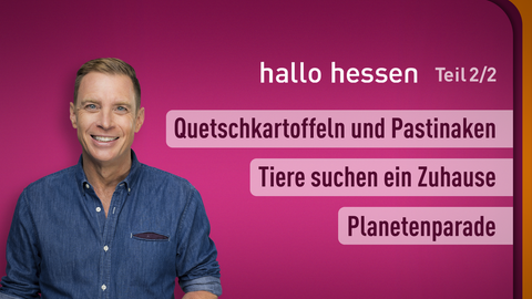 Moderator Jens Kölker sowie die Themen bei "hallo hessen" vom 04.11.2024: Quetschkartoffeln und Pastinaken, Tiere suchen ein Zuhause, Planetenparade