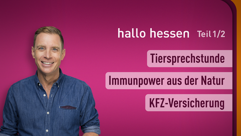 Moderator Jens Kölker sowie die Themen bei "hallo hessen" vom 05.11.2024: Tiersprechstunde, Immunpower aus der Natur, KFZ-Versicherung