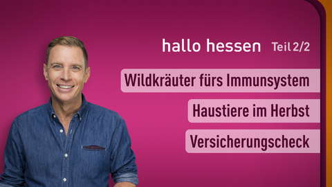 Moderator Jens Kölker sowie die Themen bei "hallo hessen" vom 05.11.2024: WIldkräuter fürs Immunsystem, Haustiere im Herbst, Versicherungscheck