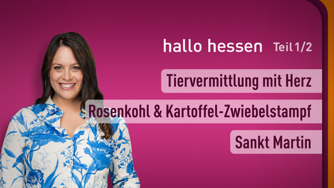 Moderatorin Leonie Koch sowie die Themen bei "hallo hessen" am11.11.2024: Tiervermittlung mit Herz, Rosenkohl & Kartoffel-Zwiebelstampf, Sankt Martin