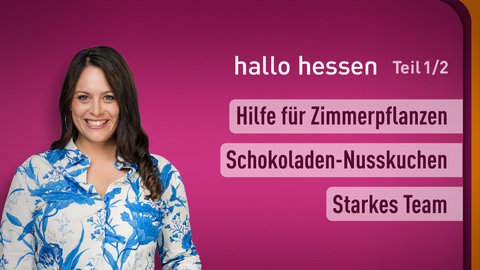 Moderatorin Leonie Koch sowie die Themen bei "hallo hessen" am 14.11.2024: Hilfe für Zimmerpflanzen, Schokoladen-Nusskuchen, Starkes Team