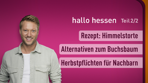 Moderator Jens Pflüger sowie die Themen bei "hallo hessen" am 21.11.2024: Rezept: Himmelstorte, Alternativen zum Buchbaum, Herbstpflichten für Nachbarn