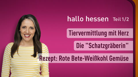 Moderatorin Selma Üsük sowie die Themen bei "hallo hessen" - Teil 1 vom 27.01.2025: Tiervermittlung mit Herz, Die "Schatzgräberin", Rezept: Rote Bete-Weißkohl Gemüse