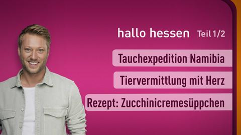 Moderator Jens Pflüger sowie die Themen bei "hallo hessen" am 08.07.2024: Tauchexpedition Namibia, Tiervermittlung mit Herz, Rezept: Zucchinicremesüppchen.