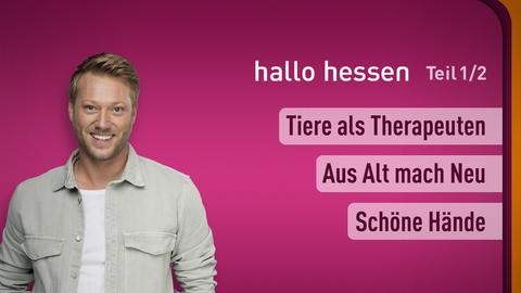 Moderator Jens Pflüger sowie die Themen bei "hallo hessen" Teil 1 vom 30.10.2024: Tiere als Therapeuten, Aus Alt mach Neu, Schöne Hände.