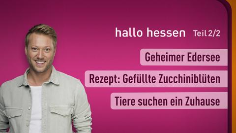 Moderator Jens Pflüger sowie die Themen bei "hallo hessen" vom 08.07.2024: Geheimer Edersee, Rezept: Gefüllte Zucchiniblüten, Tiere suchen ein Zuhause.