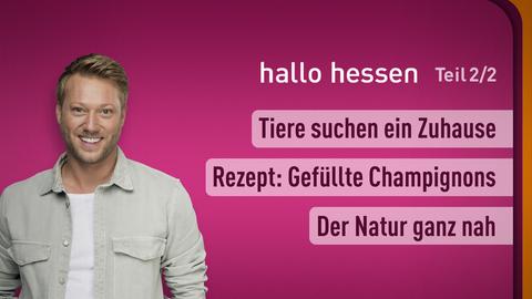 Moderator Jens Pflüger sowie die Themen bei "hallo hessen" Teil 2 vom 28.10.2024: Tiere suchen ein Zuhause, Rezept: Gefüllte Champignons, Der Natur ganz nah.