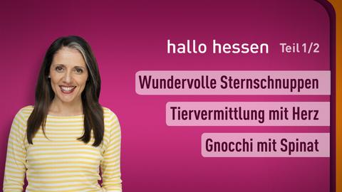 hallo hessen Moderatorin Selma Üsük mit den Themen der Sendung vom 19.8.24: Sternschnuppen, Tiervermittlung und Gnocci mit Spinat und Gorgonzola