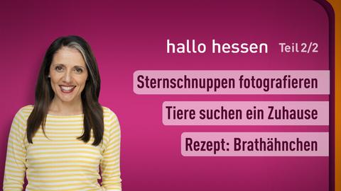 hallo hessen Moderatorin Selma Üsük mit den Themen der Sendung vom 19.8.24: Sternschnuppen, Tiervermittlung und Brathähnchen