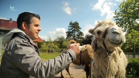 Landleben außergewöhnlich! Bauern mit tierisch-guten Ideen