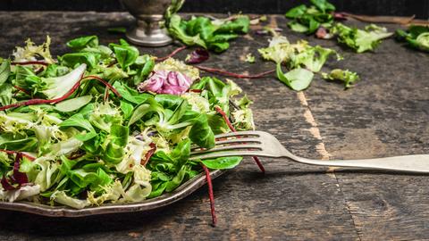 Grüner Salat auf einem Teller. 