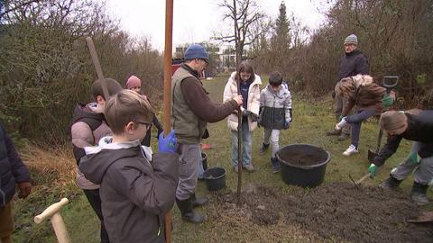 Lernort Streuobstwiese Martin-Niemöller-Schule Wiesbdaen