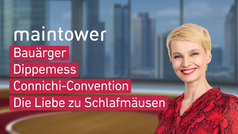 Moderatorin Susan Atwell sowie die Themen bei "maintower" vom 06.09.2024: Bauärger, Dippemess, Connichi-Convention, Die Liebe zu Schlafmäusen