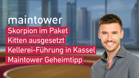 Moderator Marvin Fischer sowie die Themen bei "maintower" am 08.11.2024: Skorpion im Paket, Kitten ausgesetzt, Kellerei-Führung in Kassel, Maintower Geheimtipp