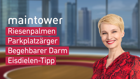 Moderatorin Susan Atwell sowie die Themen bei "maintower" vom 07.03.2025: Riesenpalmen, Parkplatzärger, Begehbarer Darm, Eisdielen-Tipp