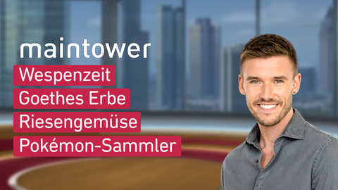 Moderator Marvin Fischer sowie die Themen von "maintower" am 28.08.2024: Wespenzeit, Goethes Erbe, Riesengemüse, Pokemon-Sammler