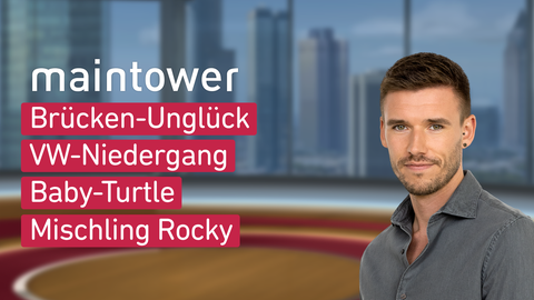 Moderator Marvin Fischer sowie die Themen von "maintower" am 11.09.2024: Brücken-Unglück, VW-Niedergang, Baby-Turtle, Mischling Rocky