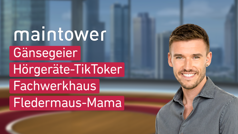 Moderator Marvin Fischer sowie die Themen von "maintower" am 12.09.2024: Gänsegeier, Hörgeräte-TikToker, Fachwerkhaus, Fledermaus-Mama