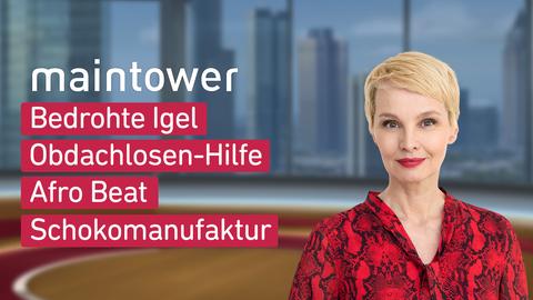 Moderatorin Susann Atwell sowie die Themen bei "maintower" am 01.11.2024: Bedrohte Igel, Obdachlosen-HilfeAfro Beat, Schokomanufaktur.