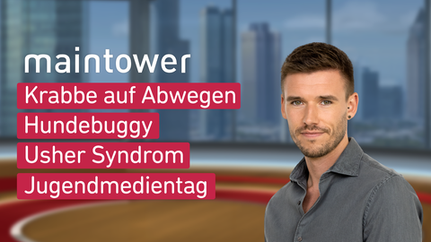 Moderator Marvin Fischer sowie die Themen bei "maintower" am 13.11.2024: Krabbe auf Abwegen, Hundebuggy, Usher Syndrom, Jugendmedientag