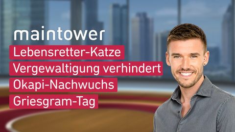 Moderator Marvin Fischer sowie die Themen bei "maintower" vom 29.01.2025: Lebensretter-Katze, Vergewaltigung verhindert, Okapi-Nachwuchs, Griesgam-Tag