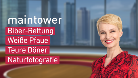 Moderatorin Susann Atwell sowie die Themen bei "maintower" vom 06.03.2025: Biber-Rettung, Weiße Pfaue, Teure Döner, Naturfotografie