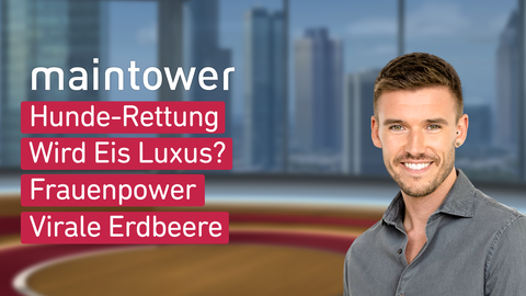 Moderator Marvin Fischer sowie die Themen bei "maintower" vom 10.03.2025: Hunde-Rettung, Wird Eis Luxus?, Frauenpower, Virale Erdbeere