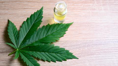 CBD-Öl wird aus Cannabis hergestellt.