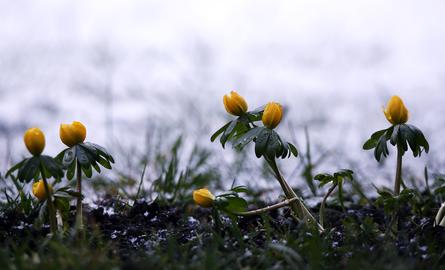 Wetterfotos Februar 2020_hallo hessen