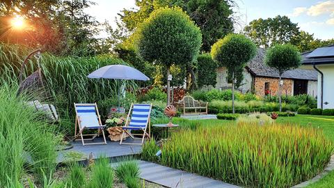 Im Garten sind für Peter Berg nur vier Dinge wichtig: Wasser, Steine, Pflanzen und Boden.