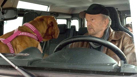 Mann mit Hund im Auto