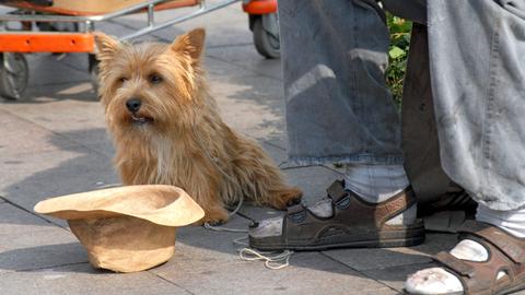 Bettel-Hund: Elvis verdient sich mit dem Obdachlosen Paule (Peter Heinrich Brix, r.) seine Würstchen auf der Straße.