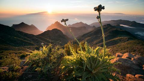 Teneriffa ist mit 2.000 Quadratkilometern die größte der Kanarischen Inseln.