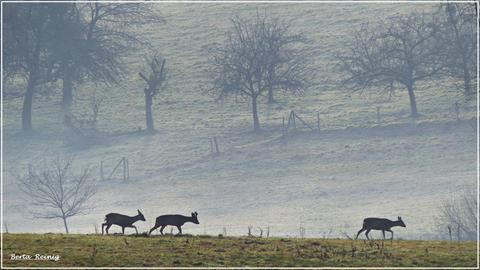 Wetterfotos hallo hessen_Februar 2020