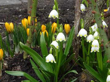 Wetterfotos hallo hessen_Februar 2020