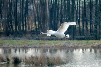 Wetterfotos hallo hessen_Februar 2020