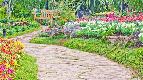 Schöner Garten mit Sitzbank. 