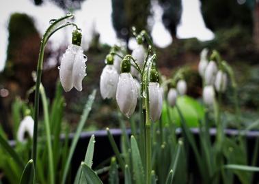 Wetterfotos hallo hessen für Februar 2020