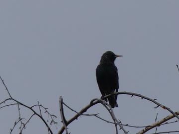 Wetterfotos hallo hessen für Februar 2020