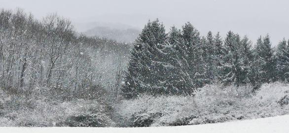 Wetterfotos hallo hessen für Februar 2020