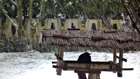 Wetterfotos hallo hessen für Februar 2020