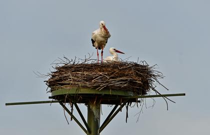 Wetterfotos hallo hessen_Februar 2020