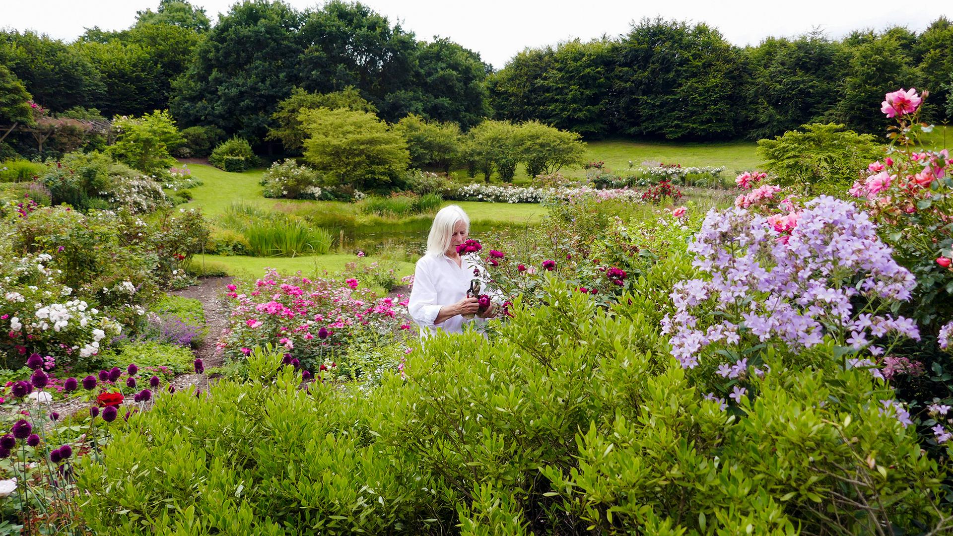 Frau Rix und ihr Garten | hr-fernsehen.de | Sendungen A-Z