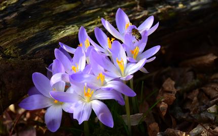 Wetterfotos hallo hessen_Februar 2020