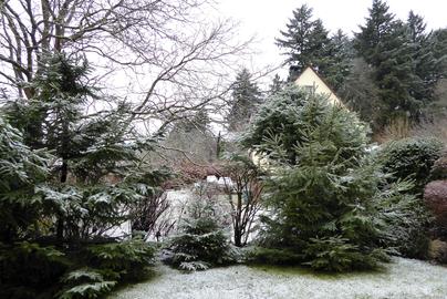 Wetterfotos hallo hessen für Februar 2020