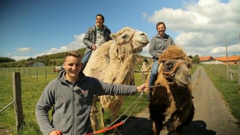 Andreas Gehrke auf dem Kamel bei Familie Zintl