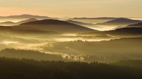 Morgennebel im Sumava-Nationalpark in Tschechien, Böhmerwald.